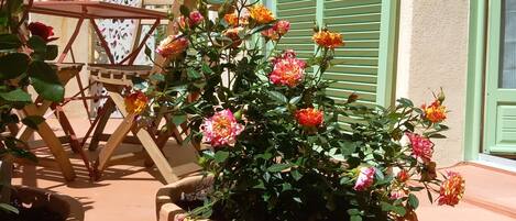 DĂ©tail de lâextĂ©rieur