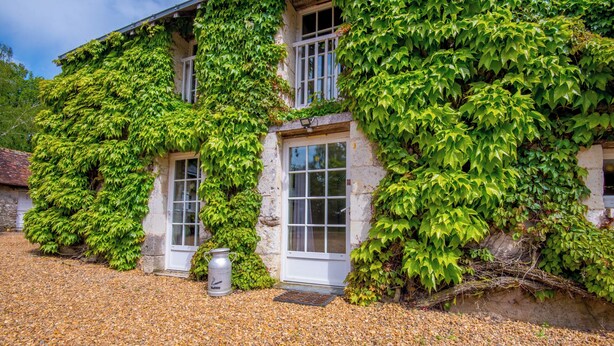 A building with ivy-covered walls and a gravel driveway. - Propriété au Calme Avec Piscine au Coeur de L'anjou ! Idéale Pour les Familles (Baugé en Anjou)