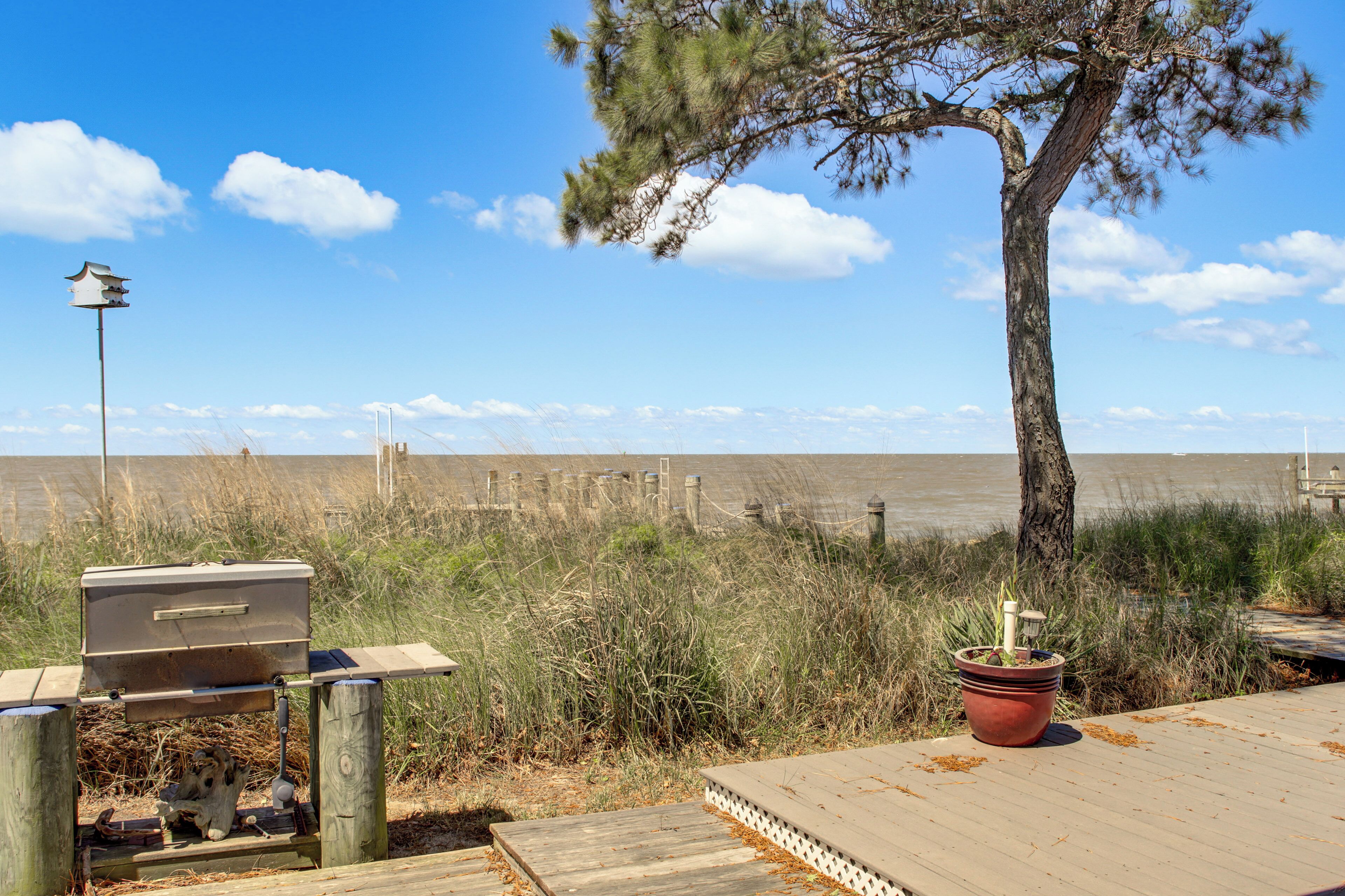 A wooden deck with a barbecue grill, a potted plant, and a view of the ocean.