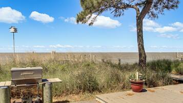 A wooden deck with a barbecue grill, a potted plant, and a view of the ocean.