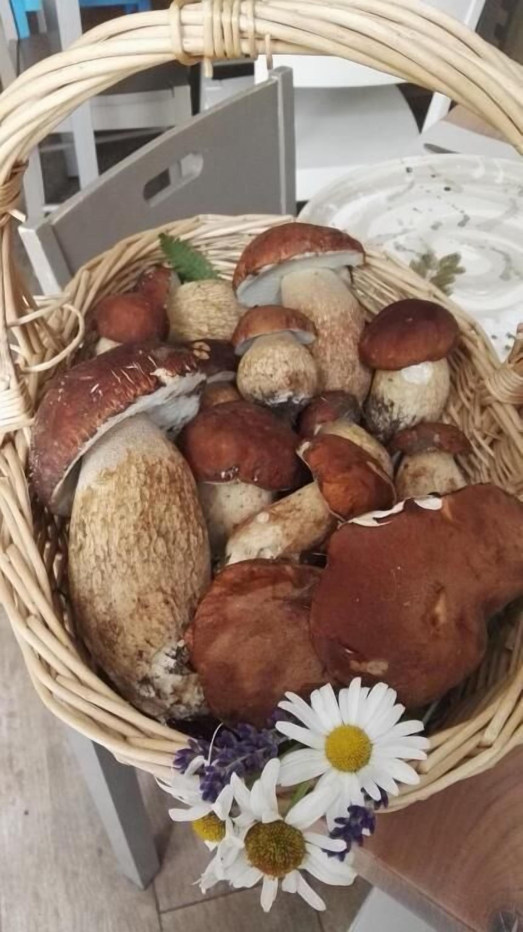 A wicker basket filled with mushrooms and flowers.