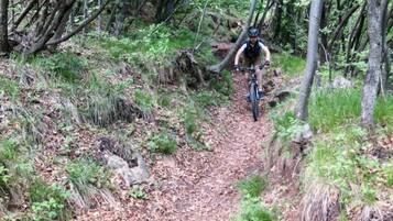 A person riding a mountain bike on a forest trail.
