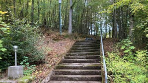 A set of stone steps leading up a hill in a forested area with a lamppost at the top. - Immensee III Apartment with lake view surrounded by forest (Ronshausen)