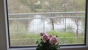 A window with a view of a forested area and a metal railing. - Immensee III Apartment with lake view surrounded by forest (Ronshausen)