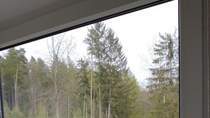 A view through a window of a paved area with a road, surrounded by trees and greenery. - Immensee III Apartment with lake view surrounded by forest (Ronshausen)