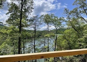 Property grounds - The Cove | Brand new Smoky Mtn Cabin on Lake Fontana! (Bryson City)