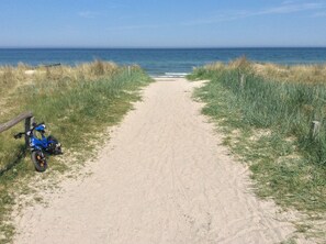 Plage, chaises longues