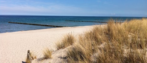 On the beach, sun-loungers