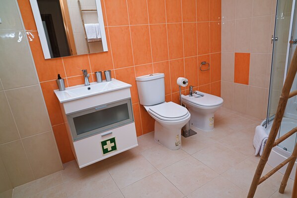 Hair dryer, bidet, towels, soap