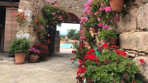 A stone building with a rustic archway, potted plants, and a view of a swimming pool in the background. - Casa Rural Obejuelo. Balcón de los Pedroches (VILLANUEVA DE CÓRDOBA)