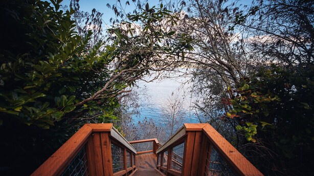 A wooden staircase leading to a bridge over a body of water, surrounded by dense foliage.