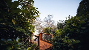 A wooden deck surrounded by dense foliage, leading to a higher platform.