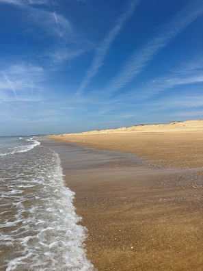 Beach - Maison Villa 6 Personnes Jacuzzi Privé Calme 3km Plage Labenne, 500 m Commerce (Labenne)
