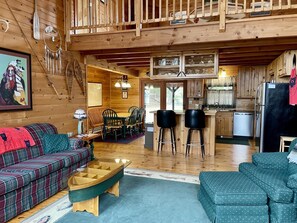 Televisión, chimenea y reproductor de DVD 