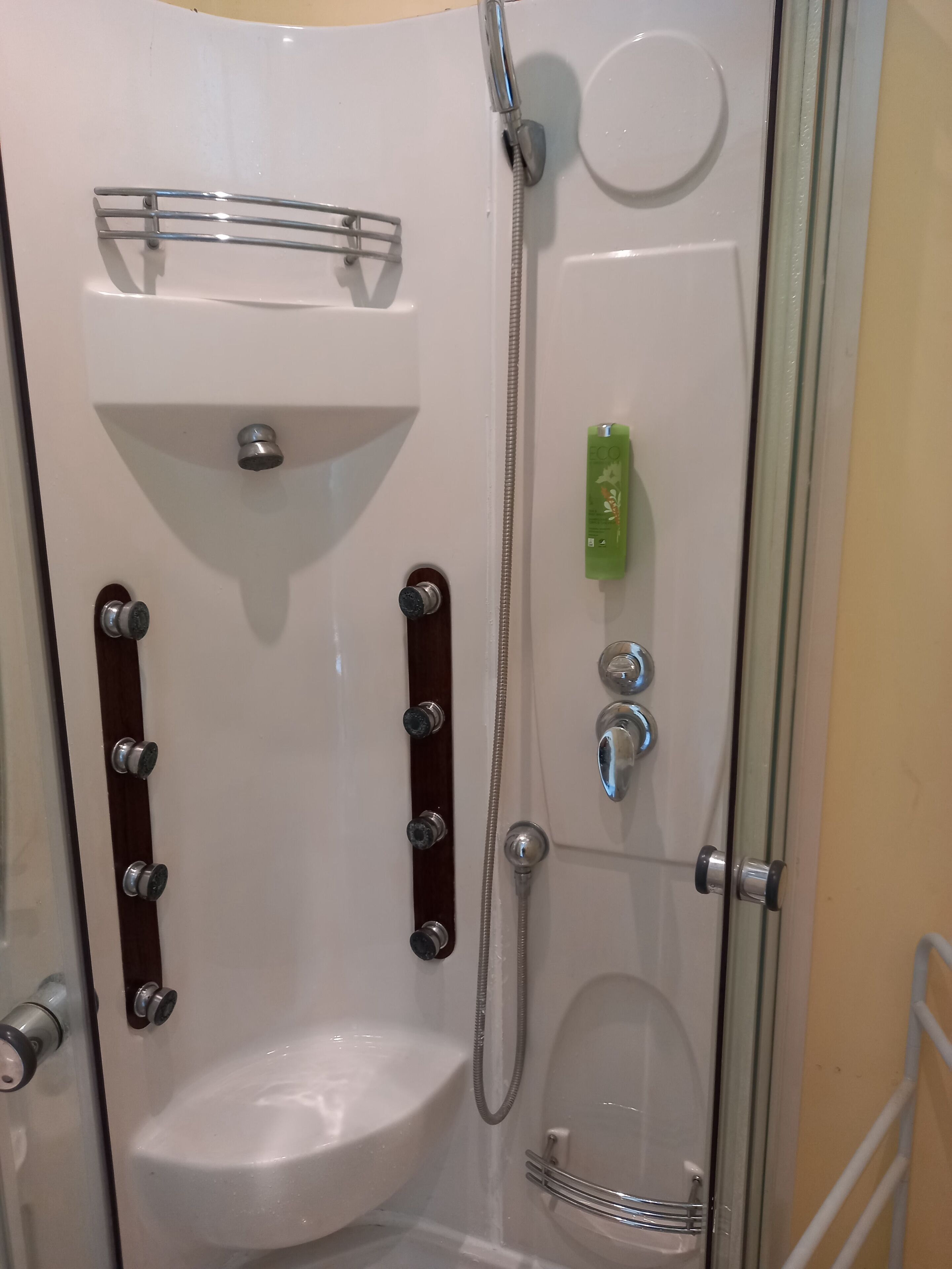 Shower, eco-friendly toiletries, hair dryer, towels