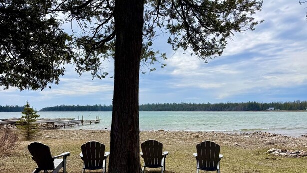 A lakeside setting with four Adirondack chairs under a large tree, a rocky shoreline, and a dock extending into the water.
