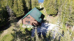 Eine Holzhütte mit grüner Dachdeckung, umgeben von dichtem Wald und einem See.