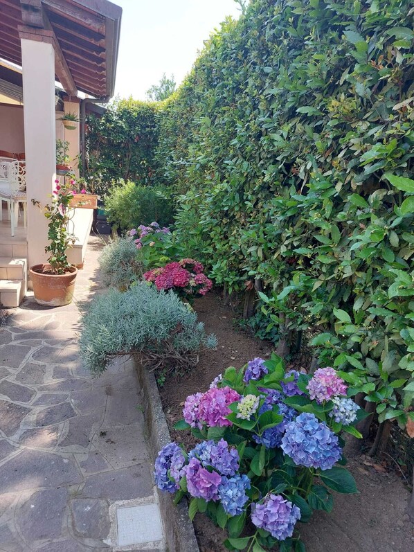 Enceinte de l’hébergement