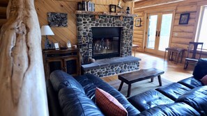 Smart TV, fireplace, DVD player, books