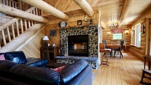 Smart TV, fireplace, DVD player, books