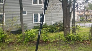 Un panier de basket avec un panneau arrière endommagé, un arbre et une maison en arrière-plan.