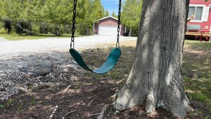 A swing set attached to a tree in a natural setting with a gravel path and a red building in the background.