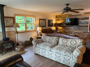 TV connectée, cheminée, lecteur de DVD