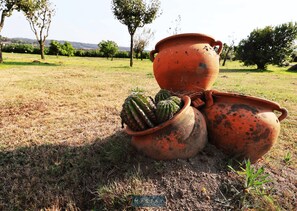 Esterni