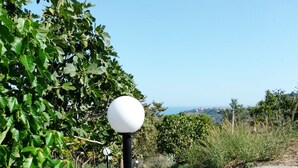 A garden with red flowers and a white spherical object on a post. - Granatelli Holiday Home (Altavilla Milicia)