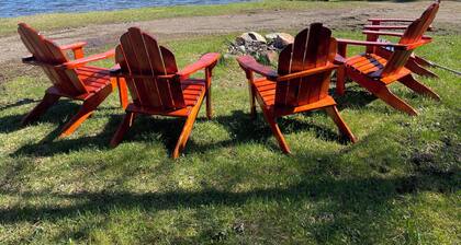 Lakefront Cabin with Pontoon & Fishing Boat Access
