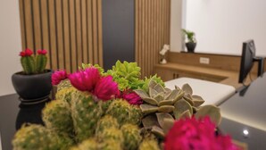 A cactus arrangement in a black pot on a counter with a modern interior, including a wooden slat wall and an air conditioning unit. - Hotel Flori (Sarandë)