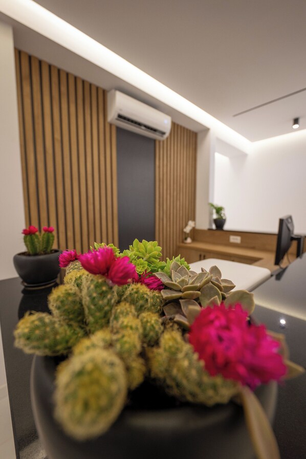 Un arreglo de cactus en una maceta negra sobre una encimera en un interior moderno, que incluye una pared de listones de madera y una unidad de aire acondicionado.