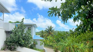 Une maison avec un toit bleu, entourée d’une végétation luxuriante et de palmiers.