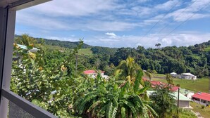 Vista desde una ventana a un paisaje exuberante con colinas, vegetación y edificios de tejados rojos.