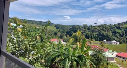 Villa Flamboyant Avec Piscine au François Martinique