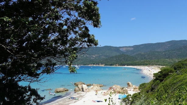Una playa con agua azul cristalina, afloramientos rocosos y exuberante vegetación.