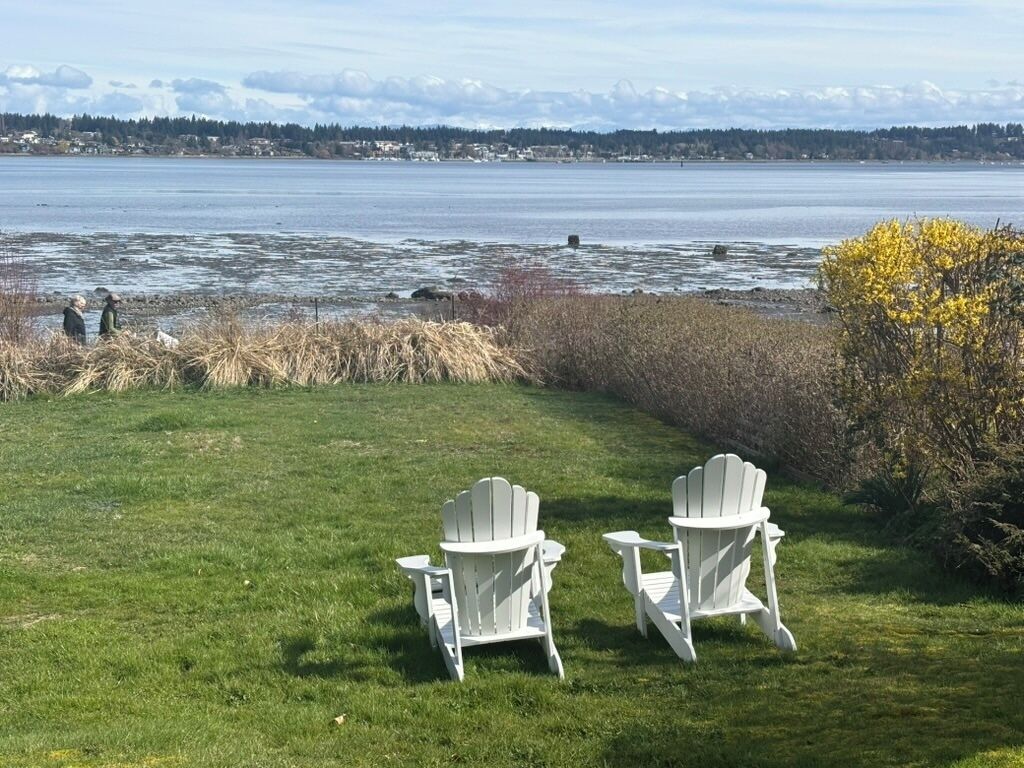 A grassy area with two white Adirondack chairs facing a body of water.
