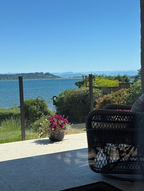 A balcony with a view of a lake, a wicker chair, and a potted plant with pink flowers.
