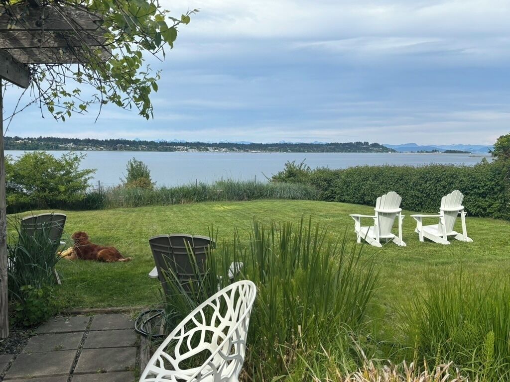 A grassy outdoor area with a view of a lake, white chairs, and a dog.