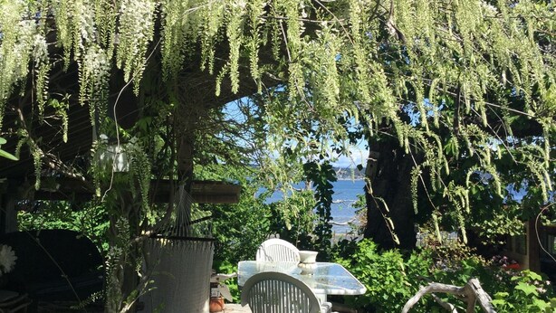 Une terrasse en bois avec une table et des chaises, entourée d’une végétation luxuriante et de plantes grimpantes à fleurs blanches.