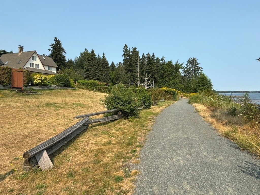 Un chemin pavé mène à un quartier résidentiel où se trouvent une maison et de nombreux arbres.