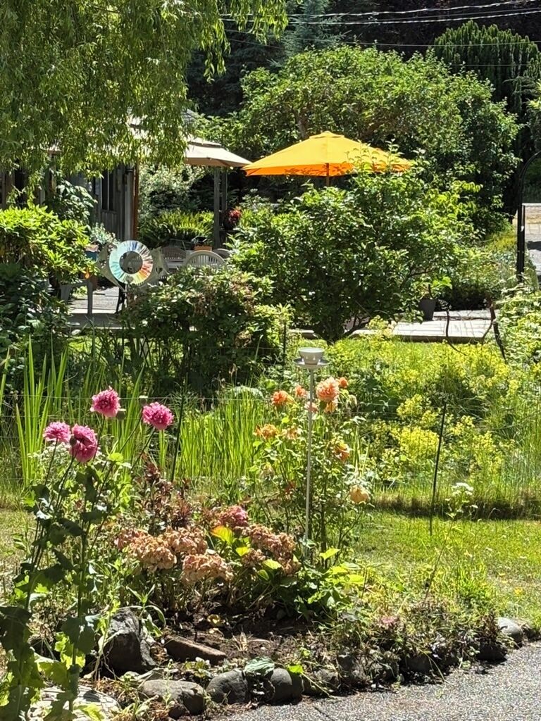 A garden with various plants and flowers, a yellow umbrella, and a fence.