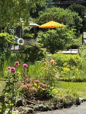A garden with various plants and flowers, a yellow umbrella, and a fence.