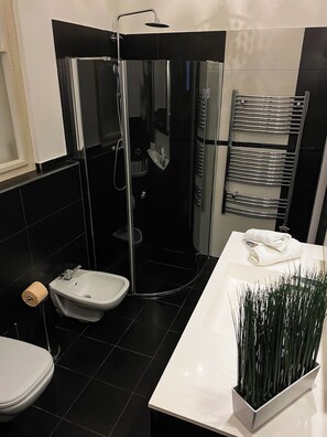 Séchoir à cheveux, bidet, serviettes fournies, savon
