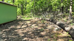 Un cobertizo de madera verde en una zona boscosa, con un sendero de grava que lo lleva a él.