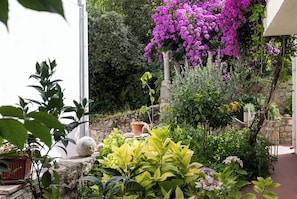 Parco della struttura