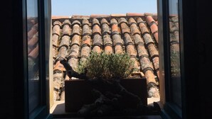 A window with a view of a tiled roof and a potted plant on the windowsill.