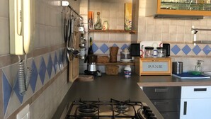 A kitchen with a gas stove, a range hood, a sink, and a cabinet labeled "PANE".