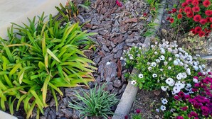 A garden with various plants and flowers, including green foliage, white and red flowers, and a stone pathway.