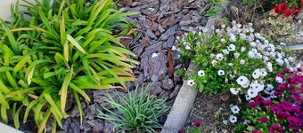 Très bel Appartement 6 Personnes à 5 min de la Plage